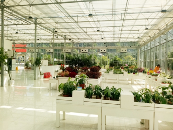 十堰农业观光园