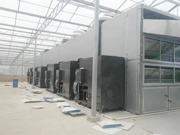 保鲜冷冻项目工程